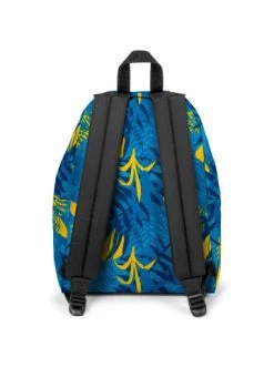 Angebote 👏 Accessoires Eastpak Padded Pak´r Rucksack 40 Cm In Brize Turquoise Günstig Kaufen 😉 8 Angebote 👏 Accessoires Eastpak Padded Pak´r Rucksack 40 Cm In Brize Turquoise Günstig Kaufen 😉 -Eastpak Verkaufsladen eastpak padded pak r rucksack 40 cm in brize turquoise 2